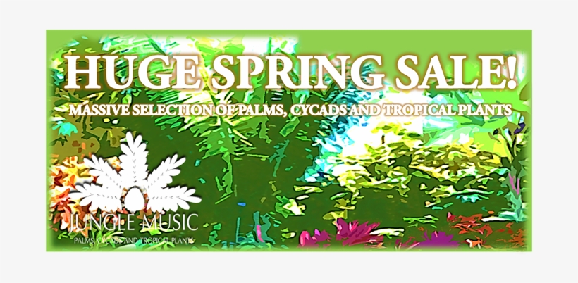 Banner Spring Sale - Sales, transparent png