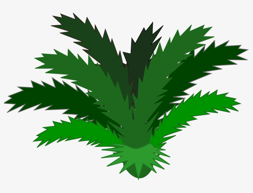 Jungle Plant Clip Art Clipart Free Download - Cycad Clipart, transparent png