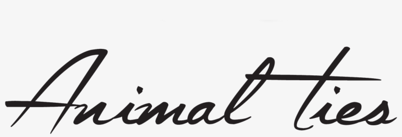 Corbatas De Moda - Fashion, transparent png