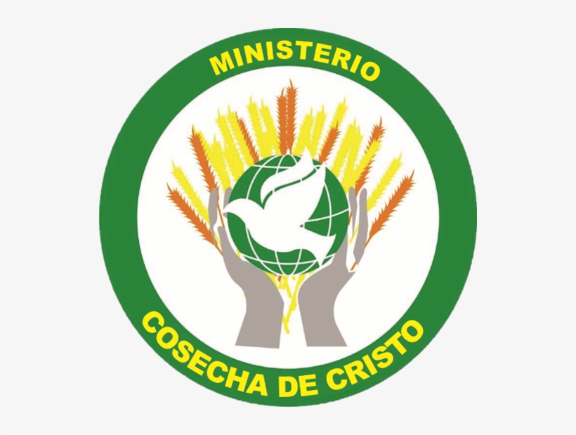 User, transparent png