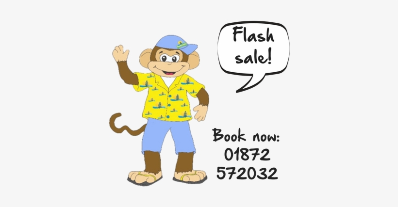 Funky Monkey Flash Sale Reductions Summer July - Adictiz Box, transparent png
