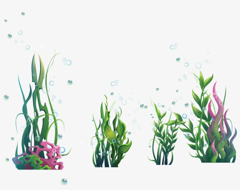 Algae Plant Seaweed Ocean - Seaweed Png, transparent png