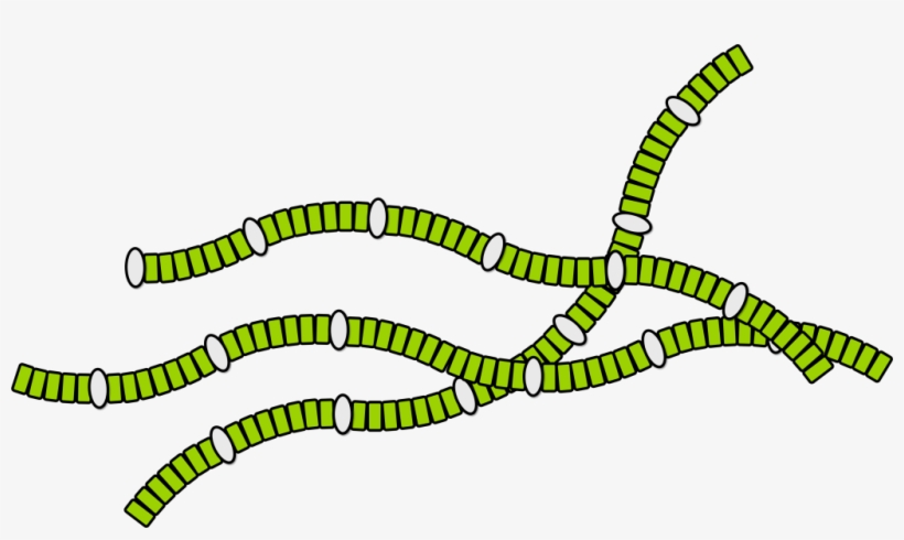 So, It Is Possible To Produce Complex Molecules, Such - Illustration, transparent png