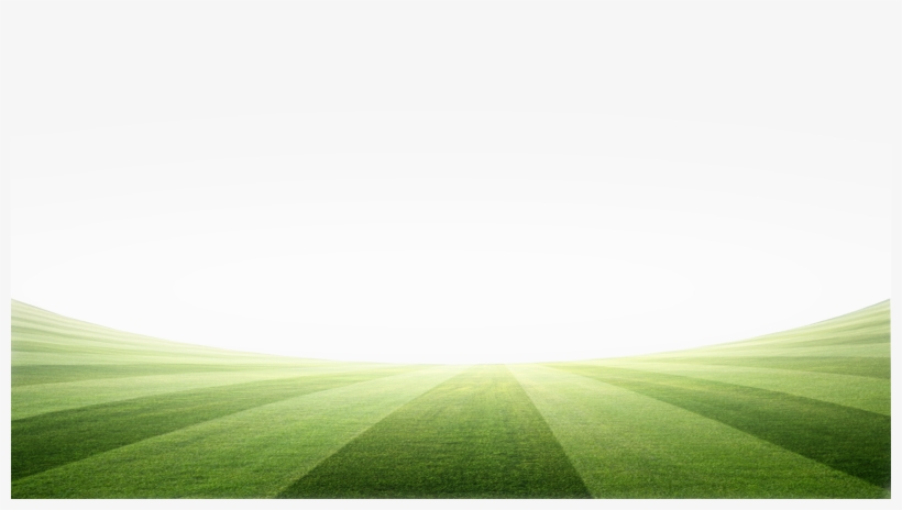 Green Wallpaper Png - Lawn, transparent png