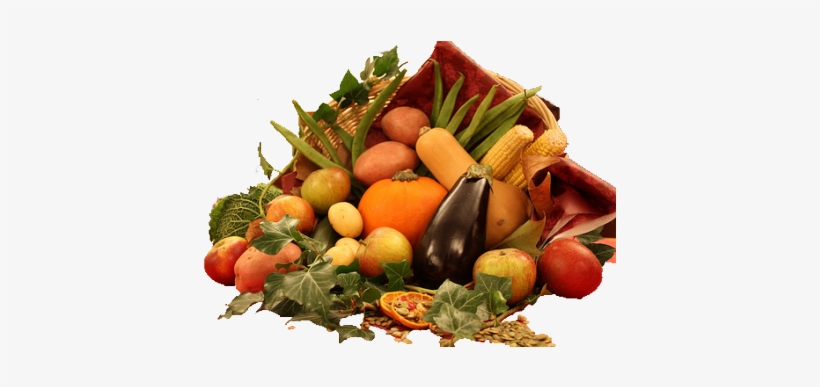 2014 Big Garden Harvest Report Shows Impact, transparent png