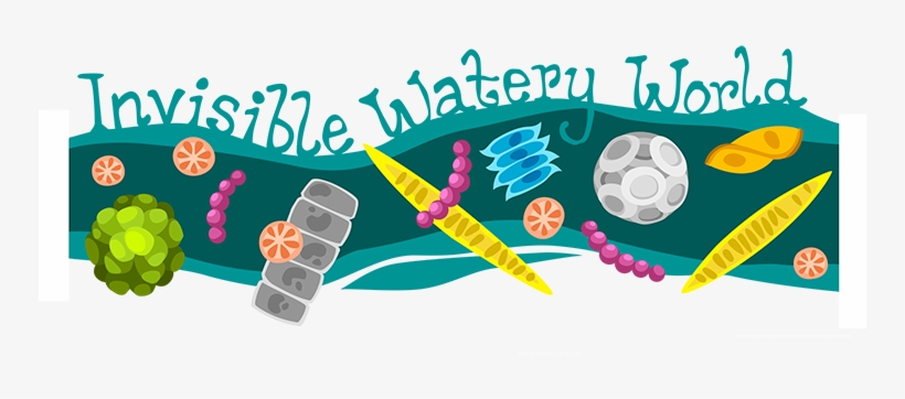 Invisible Watery World Subheader - Phytoplankton Logo, transparent png