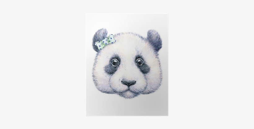 Póster Panda On White Background - Art Print: Margaritash's Water Color Drawing, transparent png