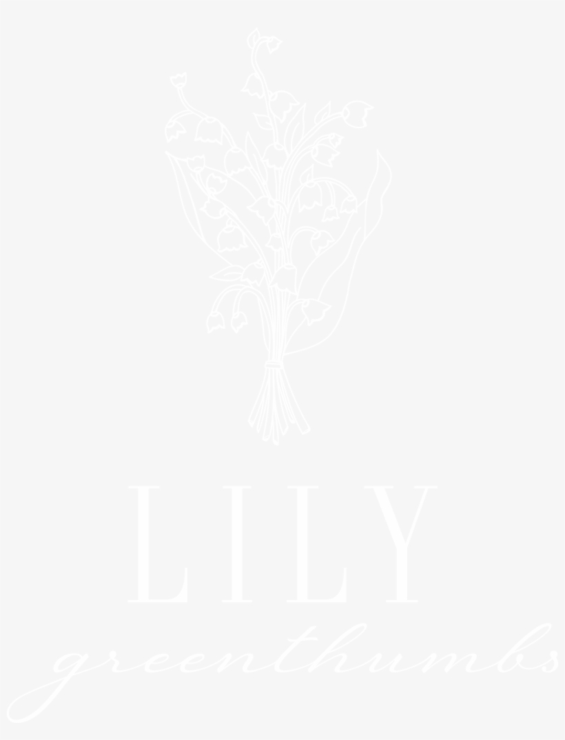 Whitelogo - Samsung Logo White Png, transparent png