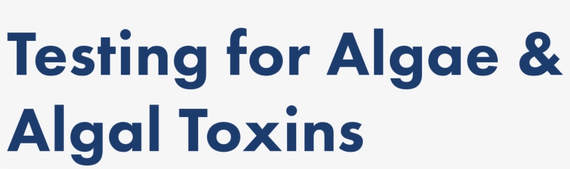 Testing For Algae And Algal Toxins - Algae, transparent png