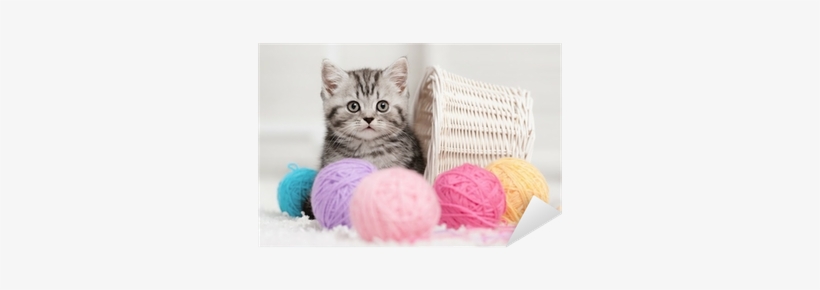 Kitten In A Basket With Balls Of Yarn Sticker • Pixers® - Ravensburger Puzzles With Cats, transparent png