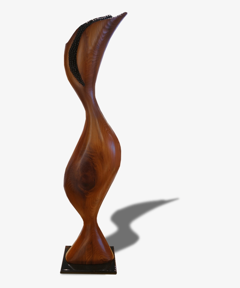 Frasca Halliday Knot Now When Exposures International - Knot, transparent png