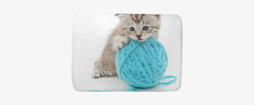 Gatto Con Gomitolo, transparent png