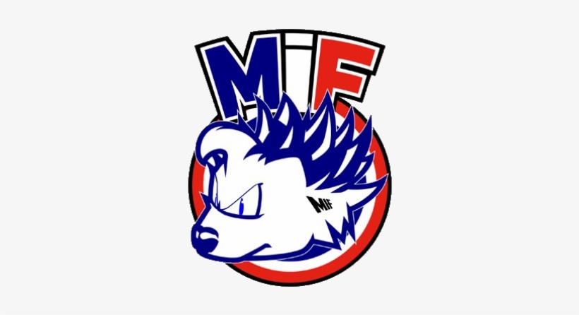 Ip Man, transparent png