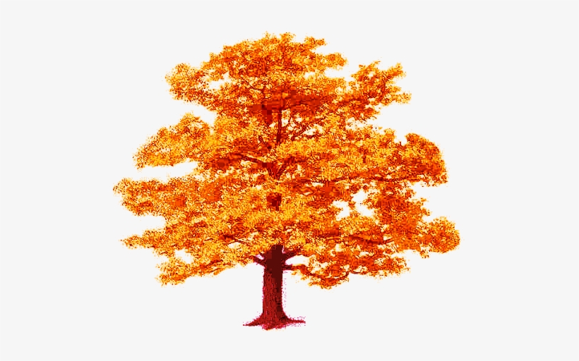 Tree Fall - Strong Is Your Faith, transparent png