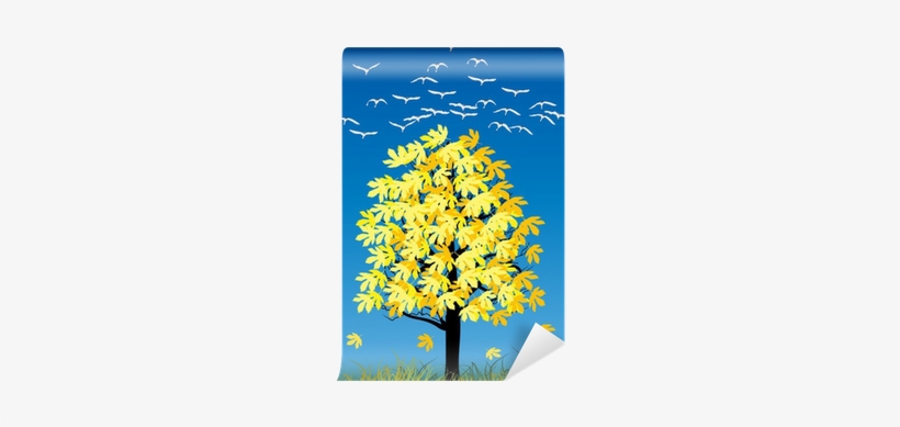 Cygnini, transparent png