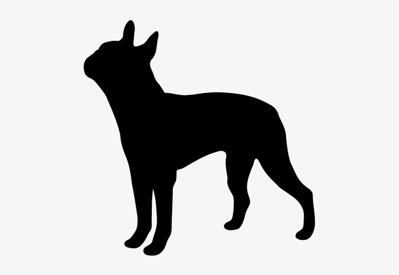 Boston - Boxer Dog Silhouette Png, transparent png
