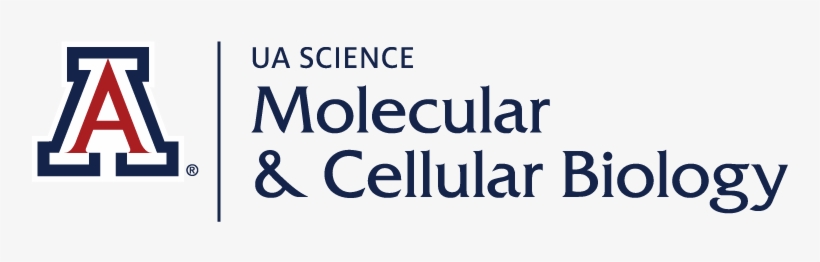 Molecular And Cellular Biology - Arizona Wildcats Baggo Bean Bag Toss Cornhole Game, transparent png