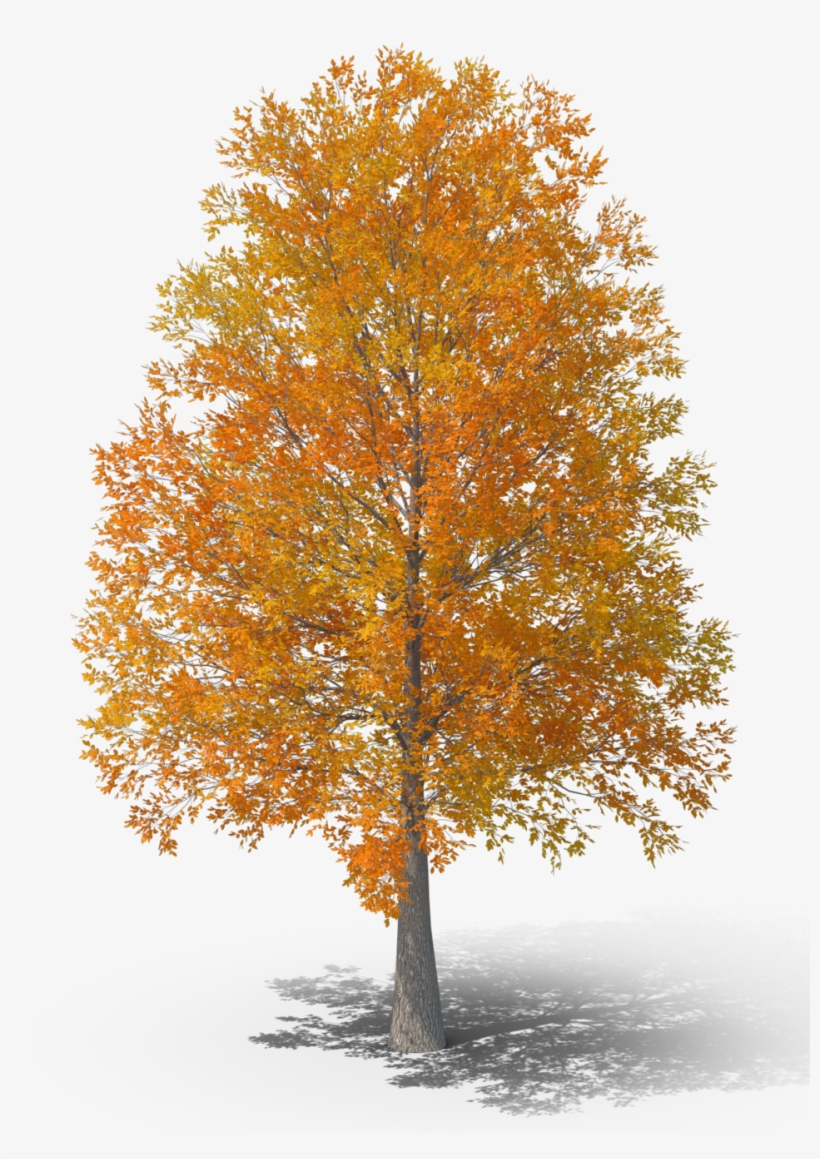 Astronomy Fact Of The Day - Grove, transparent png