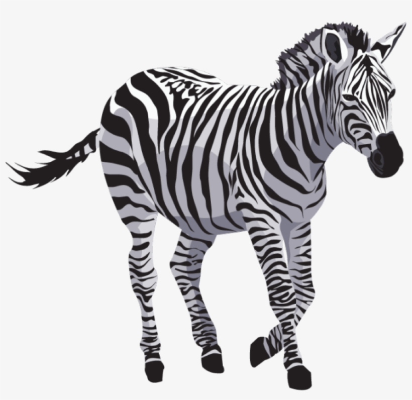 Free Png Zebra Png Images Transparent - Jk Max A4 Paper, transparent png
