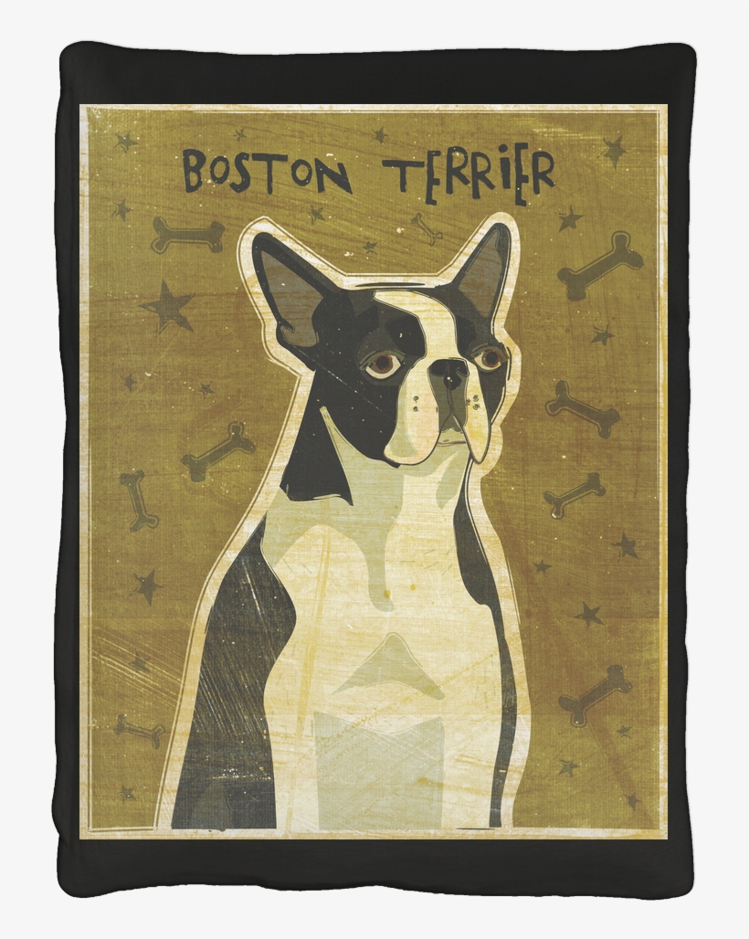 Stretched Canvas Print: Golden's Boston Terrier, 20x20in., transparent png