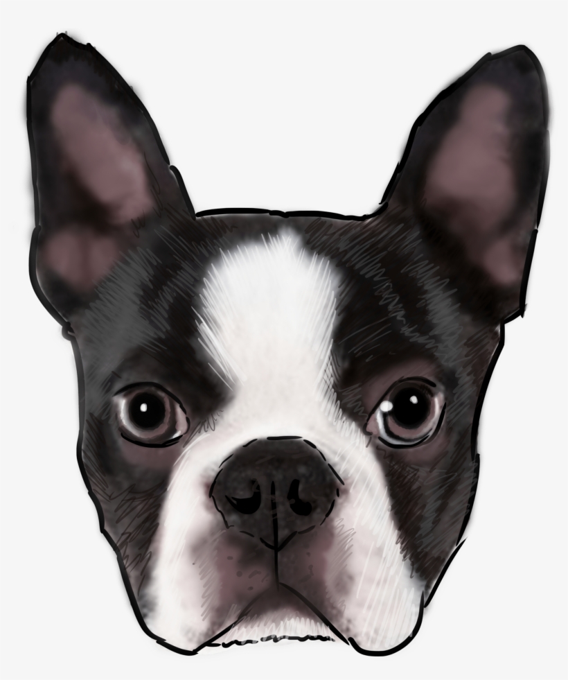 Boston Terrier, transparent png