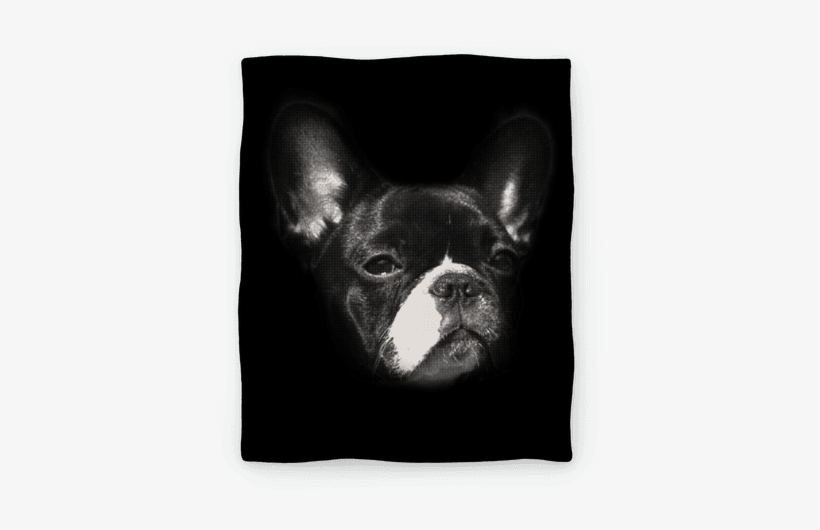 Boston Terrier Face - French Bulldog, transparent png