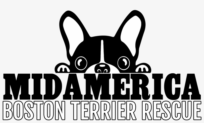French Bulldog, transparent png