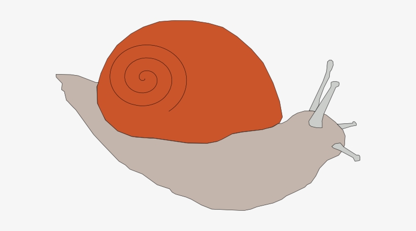 Free Vector Snail Clip Art - Clip Art, transparent png