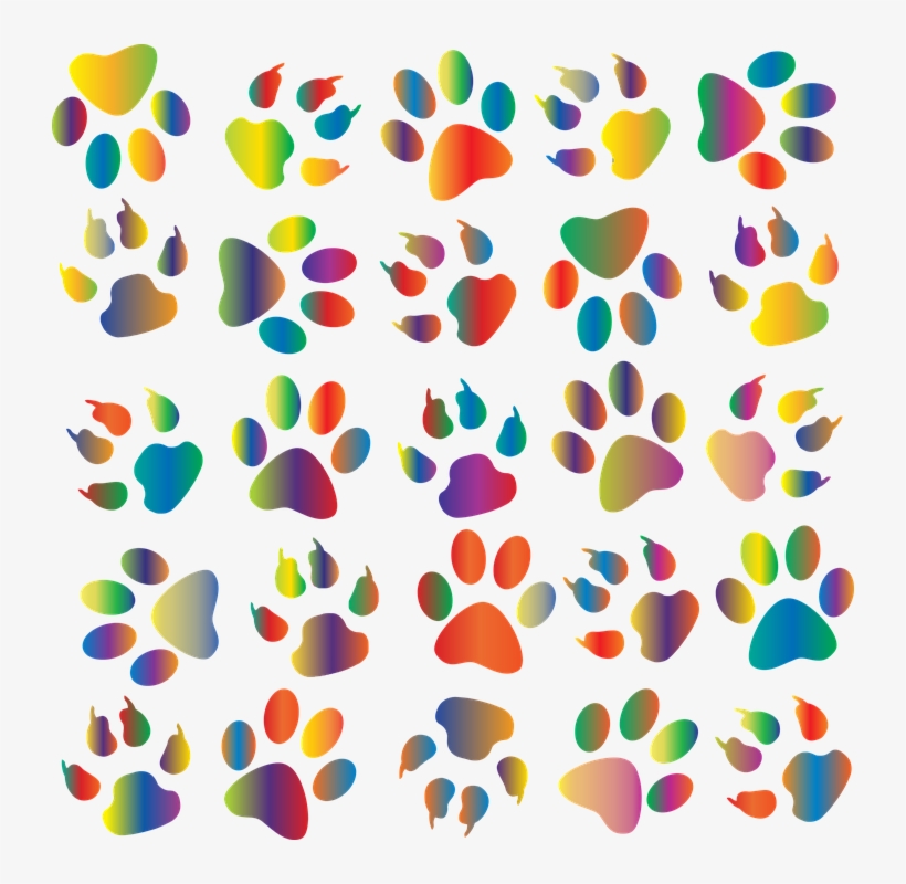 Colorful Prismatic Free Vector Graphic On Pixabay - Dog Paws, transparent png