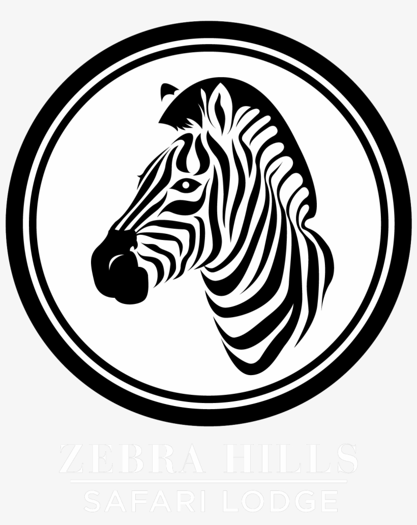 Zebra In Circle, transparent png