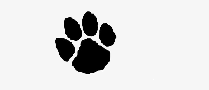 Free Animal Print Clip Art Wildcat Clipart Dog Print - Ashwaubenon Jaguars, transparent png