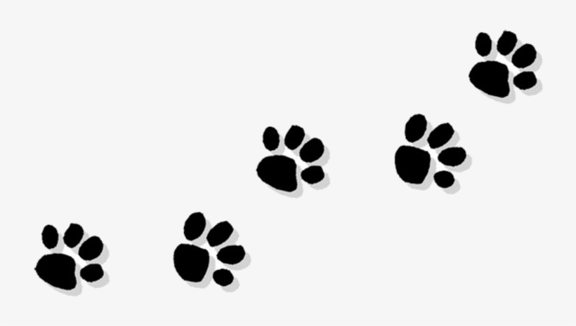 Cat Paw Bulldog Puppy Clip Art - You Are Always Remembered, transparent png