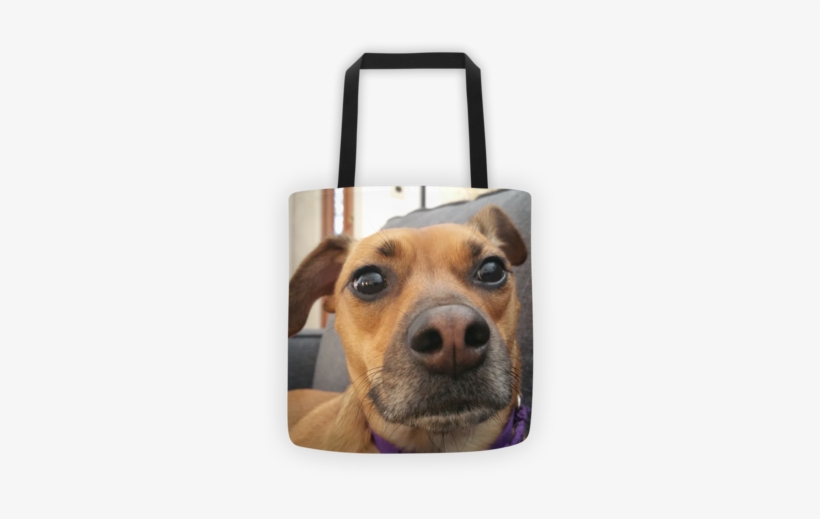 Print Your Pet To Help Save Another Print Your Dog - Cat, transparent png