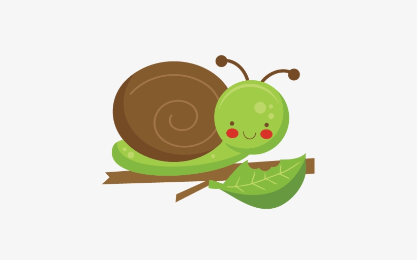 Snail Png Cute Jpg Library - Snail Cute Clipart Png, transparent png
