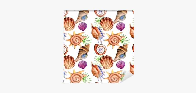 Watercolor Summer Beach Seashell Tropical Elements - Watercolor Painting, transparent png