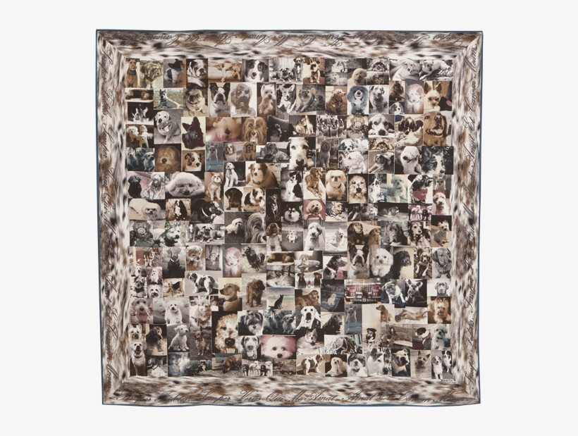 Dog Print Square - Visual Arts, transparent png