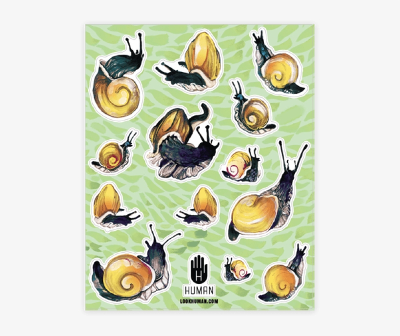 Better Than Gold Stars - Sticker, transparent png
