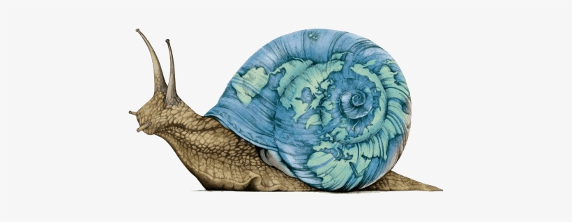 Biodiversity Summit Inches Forward Like A Snail While - Slow Movements, transparent png