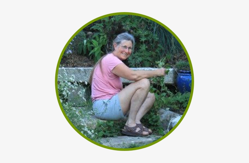 Cnps Garden Q&a With Kathy Kramer, Founder Of Cnps - Sitting, transparent png