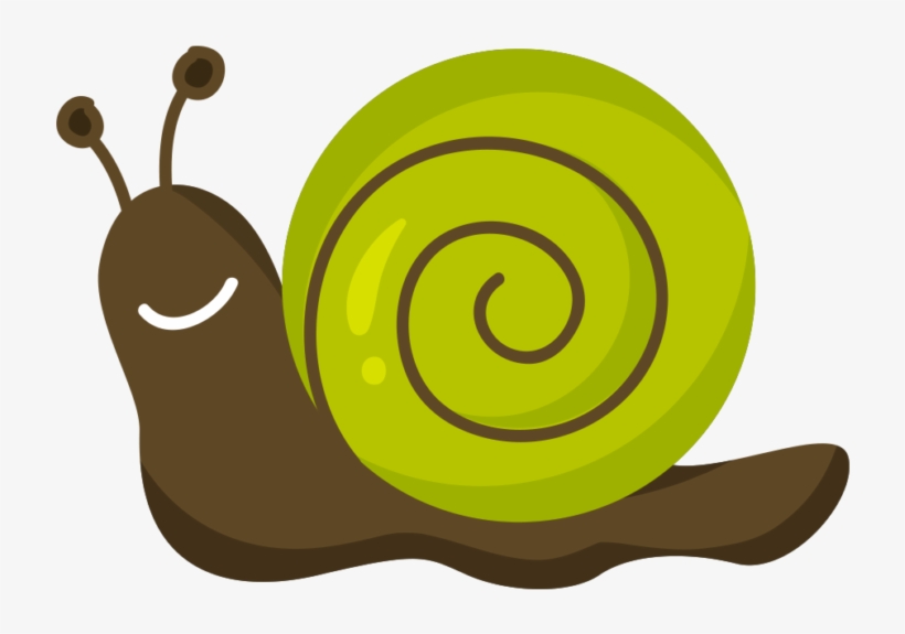 Snail Picture For Booklet Png - Snail, transparent png