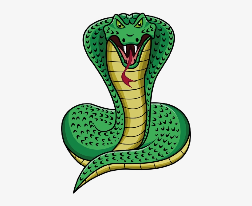 Picture Of A Cartoon Snake - Snake Cartoon, transparent png