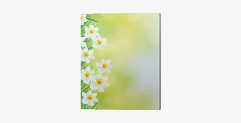 Vector Daffodil Flowers Frame - Daffodil, transparent png