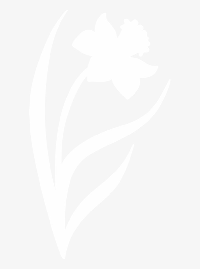 By Paperlightbox On Deviantart - Daffodil Silhouette, transparent png
