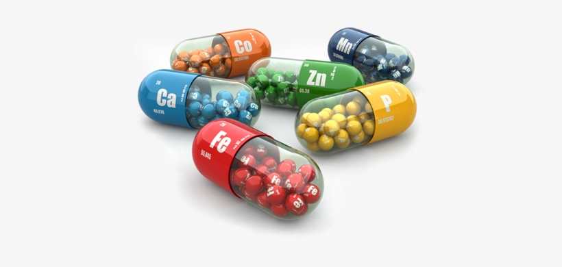 Vitamins Jenny S Your - Complete Neet Guide: Chemistry - New Paperback Book, transparent png