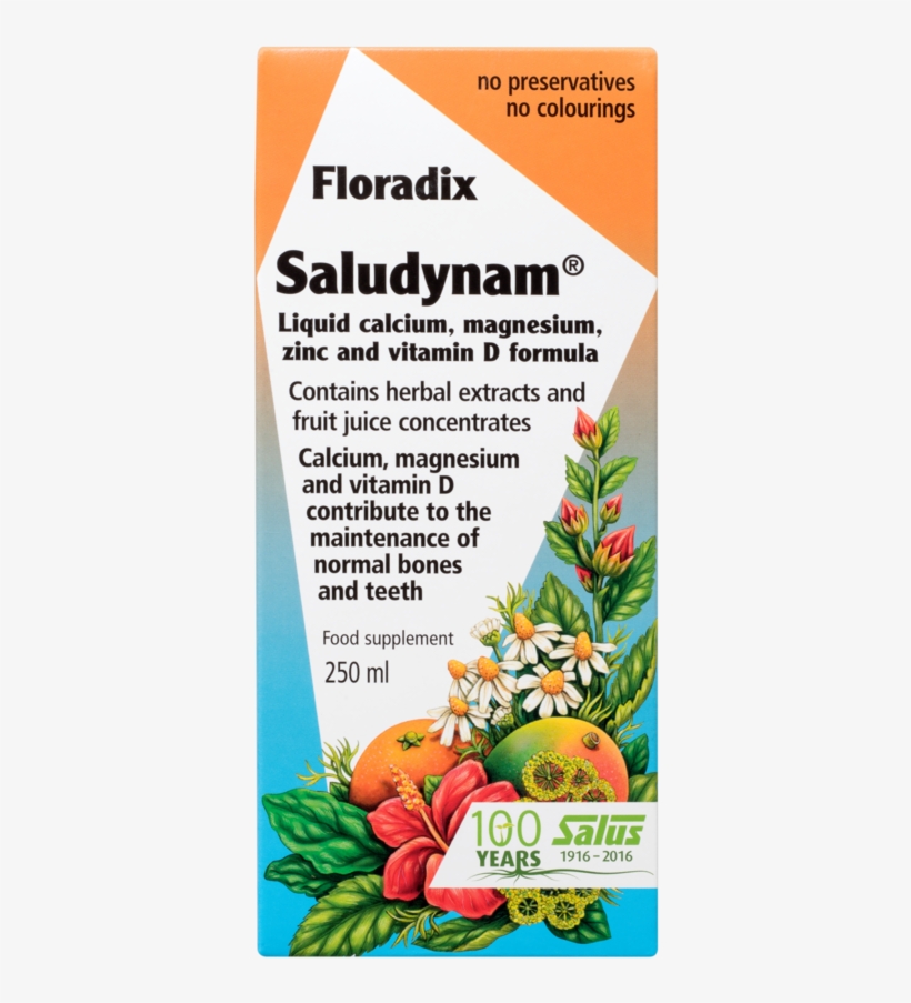 Salus Haus Floradix Saludynam®, Liquid Calcium, Magnesium, - Floradix Saludynam Liquid Calcium Mag Zinc And Vitamin, transparent png