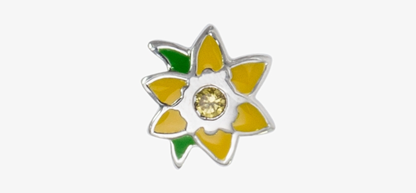 Stow March Daffodil - Birth Flower, transparent png