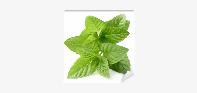 Mint, transparent png