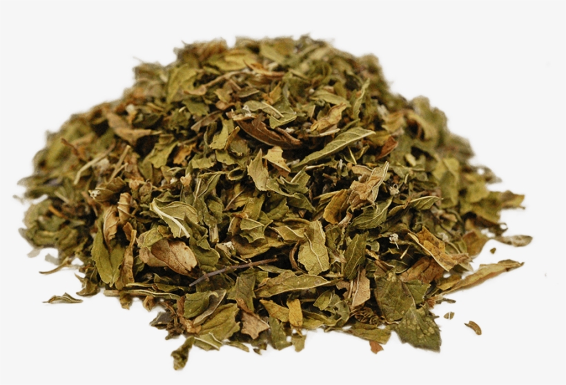 Organic Spearmint - Spearmint, transparent png