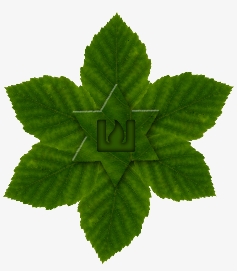 Leaves - Hemp Family, transparent png