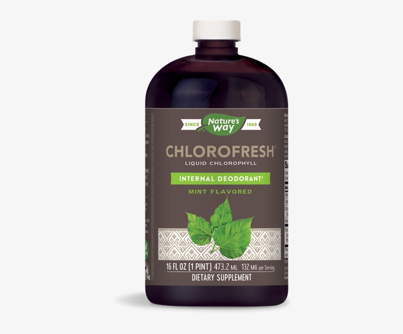 Chlorofresh Mint Liquid Chlorophyll - Nature's Way Chlorofresh Mint, transparent png